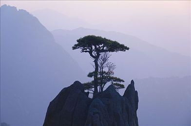 二人剧烈运动打扑克视频,运动后打牌，生活态度燃爆！-2
