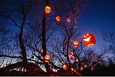 护土被老头添一夜,古稀老人寻“土方”，一夜挖走邻居护土-2