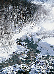 花城谢怜车图,花城美景与车文化碰撞，艺术作品引关注-1