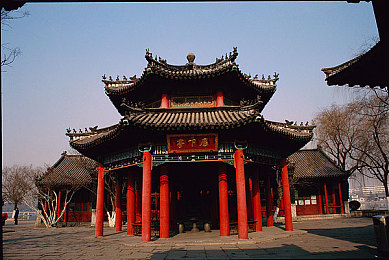 吃瓜网站,揭秘网络“吃瓜乐园”，趣味内容大揭秘-5