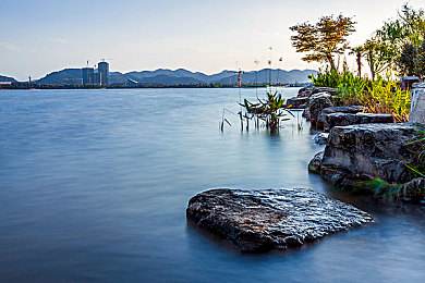 GOGOGO免费高清视频3,免费高清视频新宠，GOGOGO引关注-2