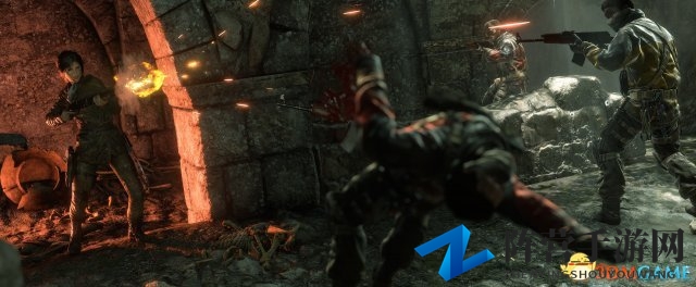 《古墓丽影：崛起》PC显卡较量，NVIDIA显卡挑战AMD显卡