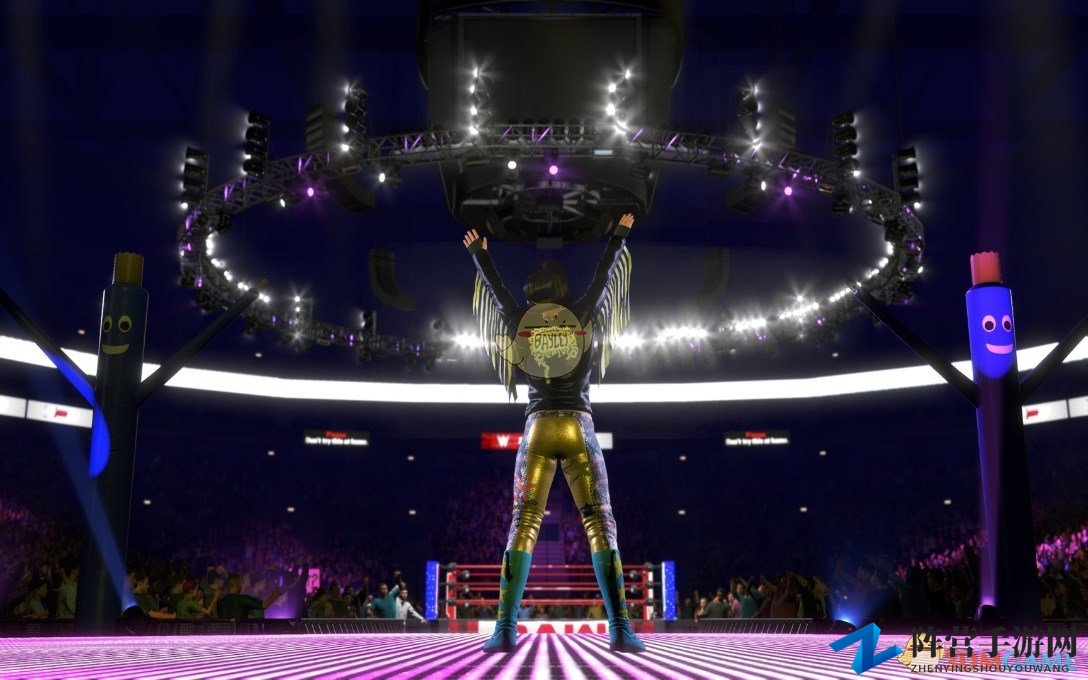 《WWE 2K20》游戏收藏版内容一览