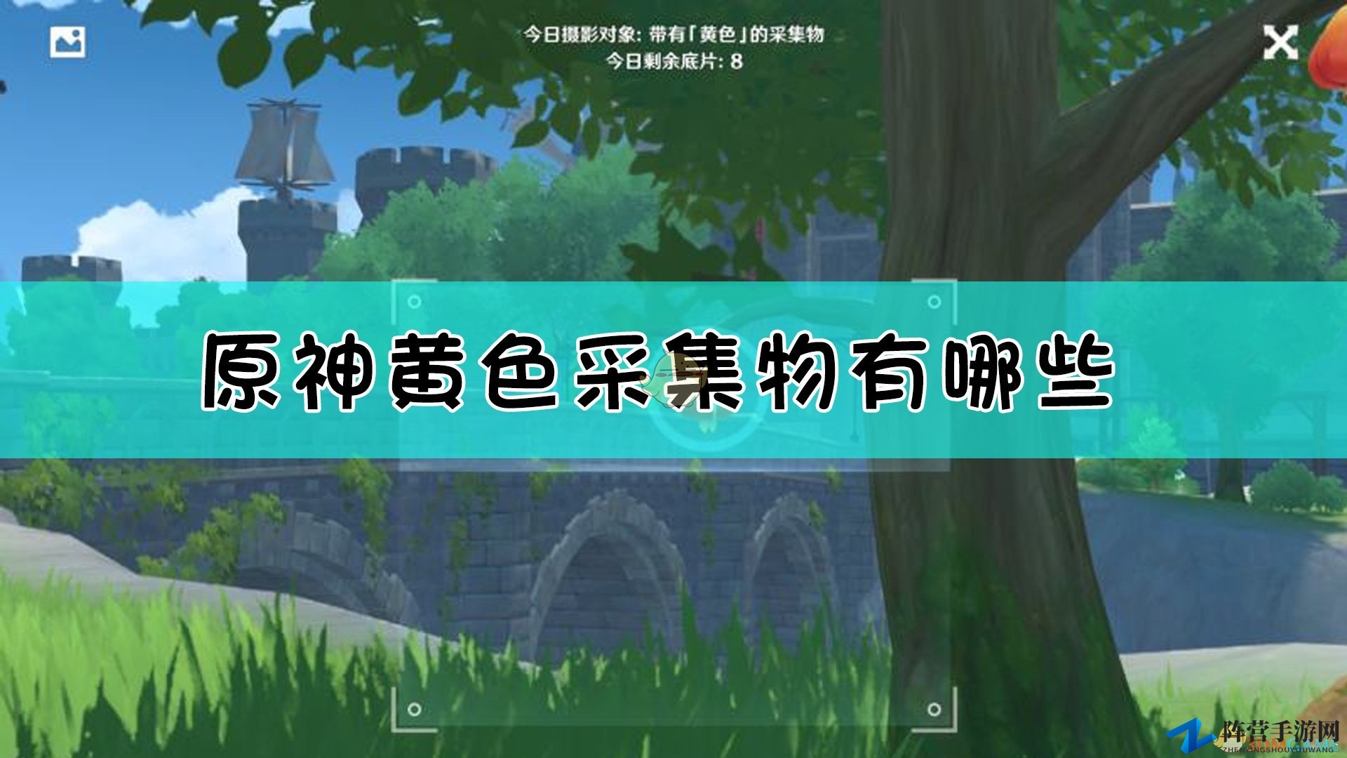 《原神》捕捉金黄宝物摄影攻略手册