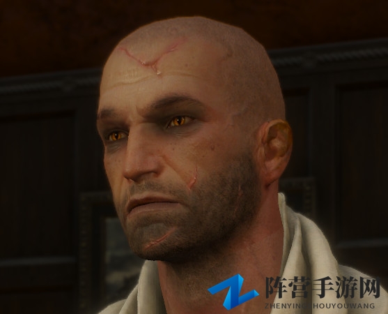 《巫师3》鬼畜MOD：白狼变成叶奈法