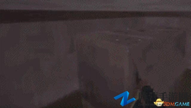《绝地求生》出现透视Bug 玩家纷纷吐槽蓝洞Bug多