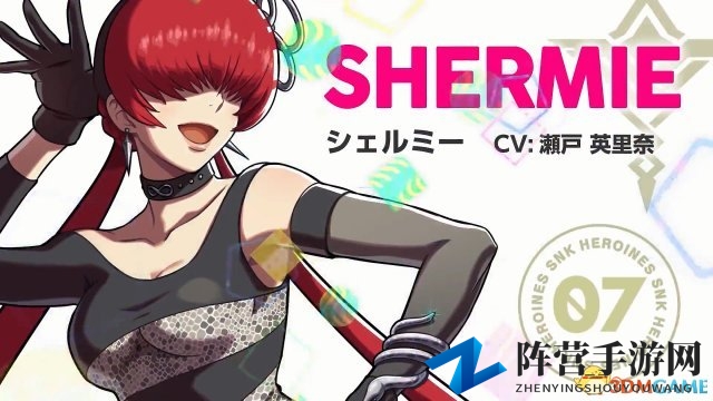 《SNK女格斗家大乱斗》