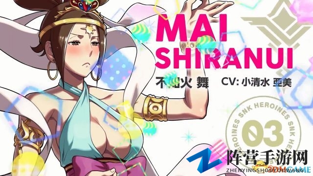 《SNK女格斗家大乱斗》