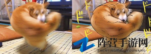 是萌宠还是猛宠？《猛宠大作战》凑想格斗狂想曲