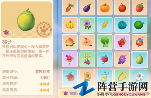 摩尔庄园手游椰子种植攻略，农作物功能解析