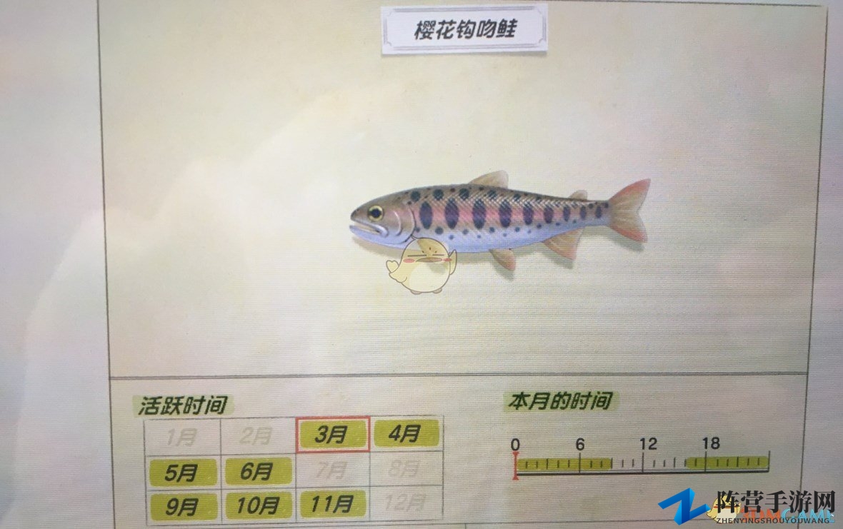 《集合啦！动物森友会》揭秘樱花钩吻鲑活动规律分享